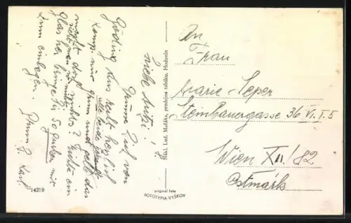 AK Göding / Hodonin, Gebäudeansicht, Brücke, Denkmal