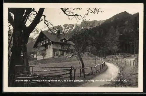 AK Reichenau an der Rax, Knappenhof, Alpenhotel und Pension von Hedwig Kronich