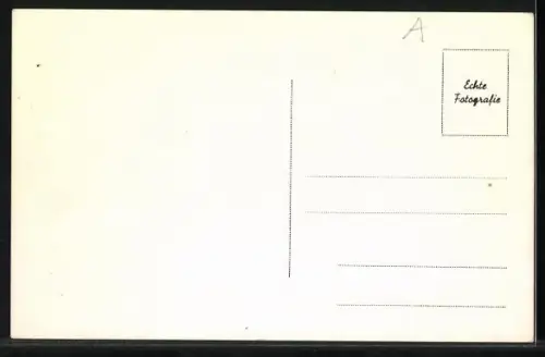 AK Mayrhofen /Tirol, Ansicht vom Gasthof Lacknerbrunn