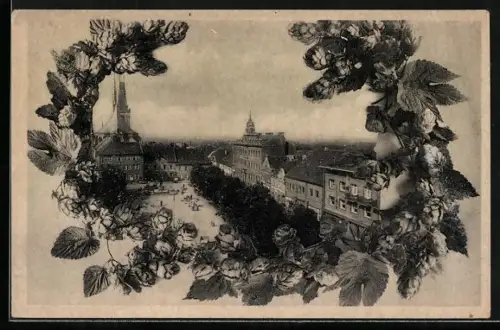AK Laun / Louny, Rathaus und Kirche am Marktplatz, Hopfen
