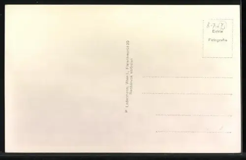 AK Hohenberg /N.-Oe., Ortsansicht mit Bergpanorama