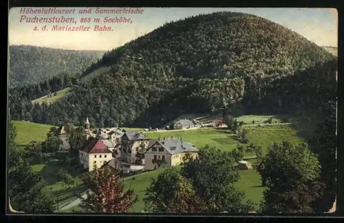 AK Puchenstuben a. d. Mariazeller Bahn, Teilansicht mit Bäumen