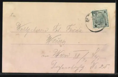 Lithographie Melk, Teilansicht mit Stift, Ruine Weitenegg