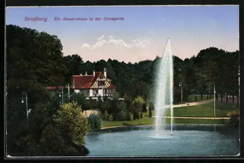 AK Strassburg, Els Bauernhaus in der Orangerie