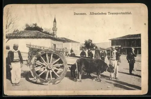 AK Durazzo / Durres, Albaner mit einem Ochsengespann