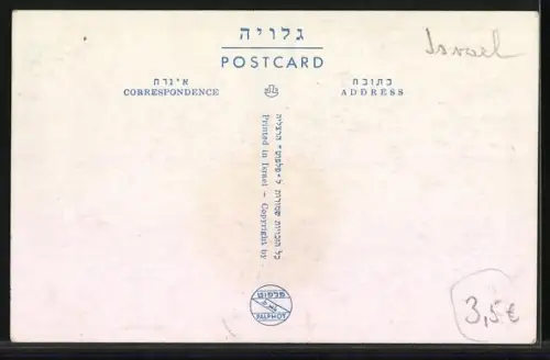 AK Haifa, the Municipality