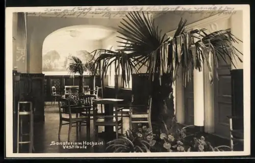 AK Zirl /Tirol, Sanatorium Hochzirl, Vestibule mit Palmen