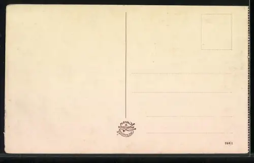 AK Hirschberg, Panoramablick vom Berg