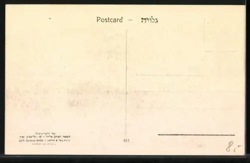 AK Tel-Aviv, Palatin Hotel