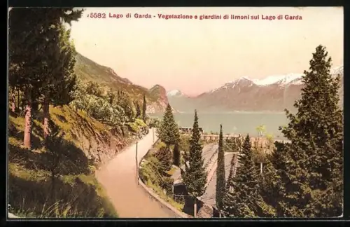 AK Limone /Lago di Garda, Vegetazione e gardini di limoni sul Lago di Garda