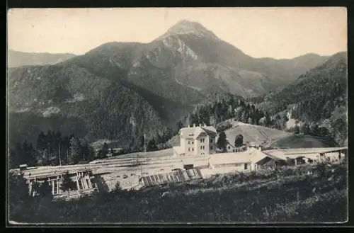 AK Gösing, Hotel Gösing a. d. Mariazeller Bahn