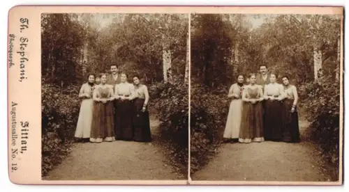 3 Stereo-Fotografien Th. Stephani, Zittau, Ansicht Zittau, zittauer Familie beim Spaziergang im Park