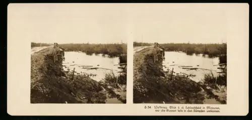 Stereo-Fotografie NPG, Blick über das Schlachtfeld in den Masuren, wo die Russen teils in den Sümpfen umkamen