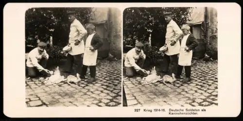 Stereo-Fotografie NPG, deutsche Soldaten als Kaninchenzüchter