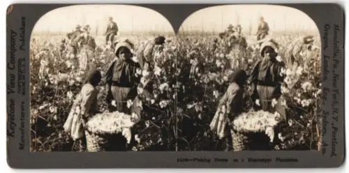 Stereo-Fotografie Keystone View Co., Meadville, afrikanische Skalven bei der Baumwoll Ernte, Slaves Picking Cotton