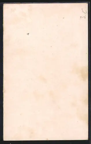 AK Lützelburg i. Lothr., Panorama