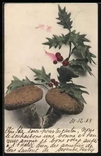 AK Pilze und Stechpalmenzweig