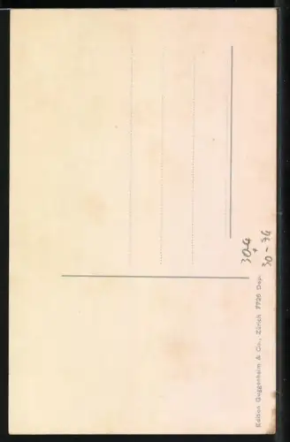 AK Schweizer Heerführer Oberstdivisionär Steinbuch, Kommandant der 5. Division