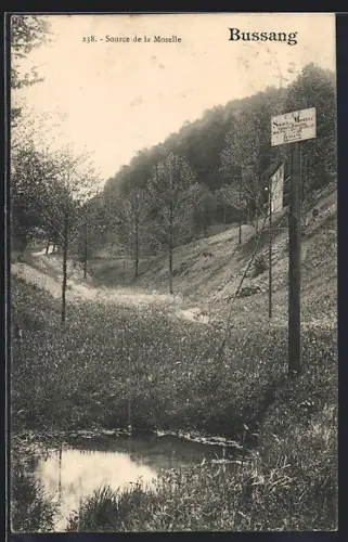 AK Bussang, Source de la Moselle avec paysage forestier