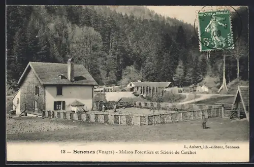 AK Senones /Vosges, Maison Forestière et Scierie de Coichot