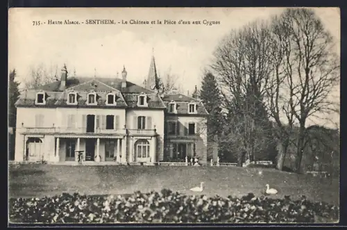 AK Sentheim /Haute Alsace, Le Château et la Pièce d`eau aux Cygnes
