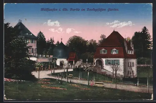 AK Mülhausen i. Els., Partie im Zoologischen Garten