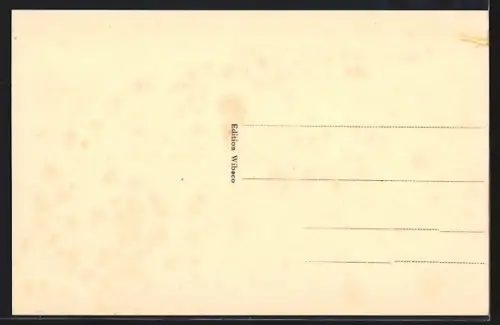 AK Colmar, Vue générale