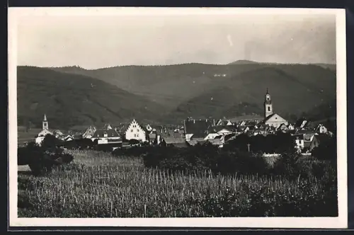 AK Riquewihr /Haut-Rhin, Vue générale