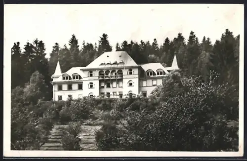AK Masevaux, Le Sanatorium dans la forêt environnante