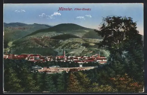 AK Münster, Vue sur la ville entourée de collines boisées