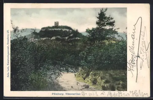 AK Winzenheim, Pflixburg