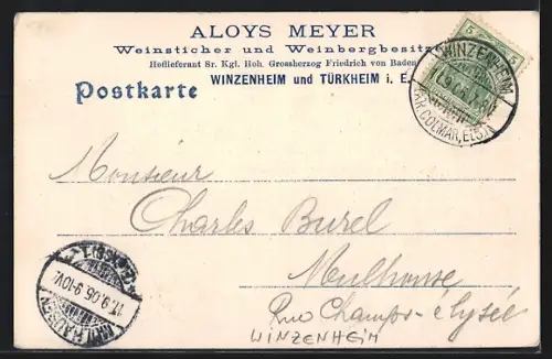 AK Winzenheim, Pflixburg