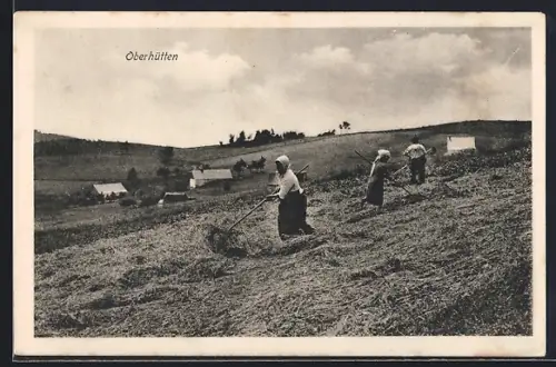 AK Oberhütten, Scène de moisson dans les champs avec des femmes travaillant à la faux