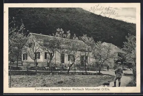 AK Walbach /Münstertal, Forsthaus Aspach