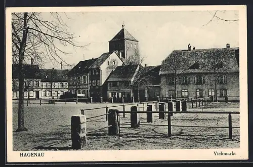 AK Hagenau, Blick auf den Viehmarkt