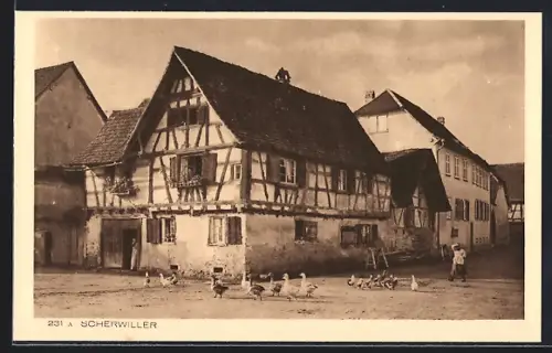 AK Scherwiller, Maisons traditionnelles à colombages et troupeau d`oies sur la place du village