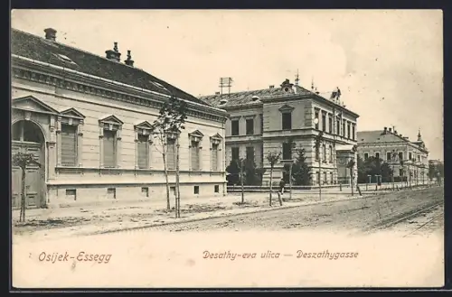 AK Osijek, Desathy-eva ulica