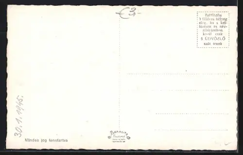 AK Szombathely, Kirche, Brunnen, Strassenpartie