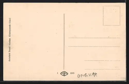 AK Ungvar, Ortsansicht mit Brücke