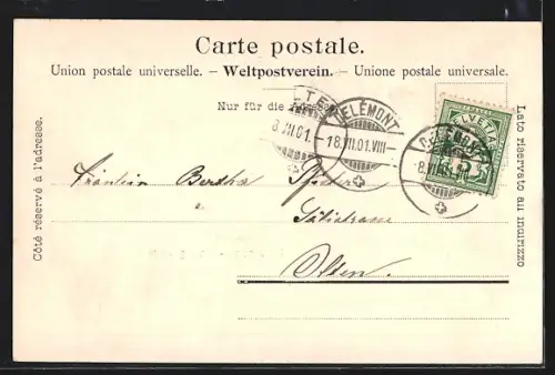 AK Delémont, Vue générale