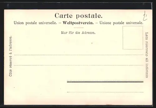 AK Nyon, Uferpartie mit Schloss