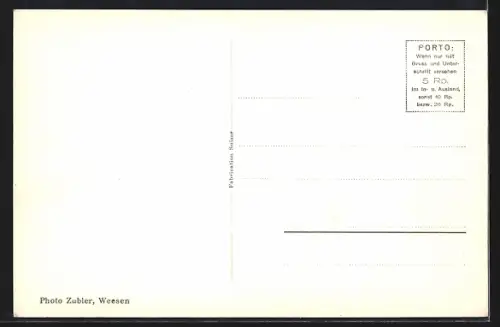 AK Weesen am Wallensee, Generalansicht