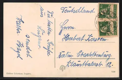 AK Lugano, Panorama generale