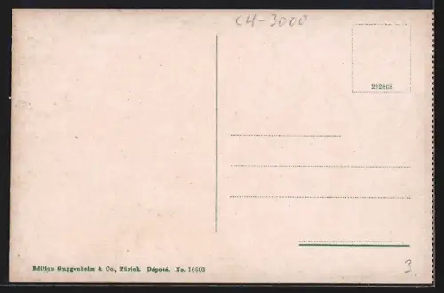 AK Bern, Teilansicht mit Brücke und den Alpen