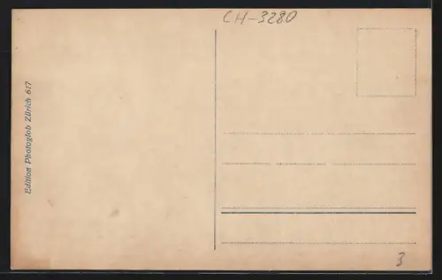 AK Murten, Teilansicht mit Schloss