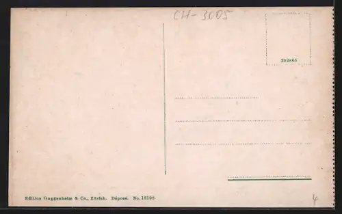 AK Bern, Hist. Museum, Aussenansicht