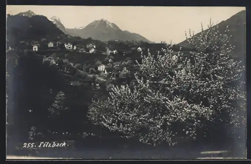 AK Filzbach, Ortsansicht mit Gipfelpanorama