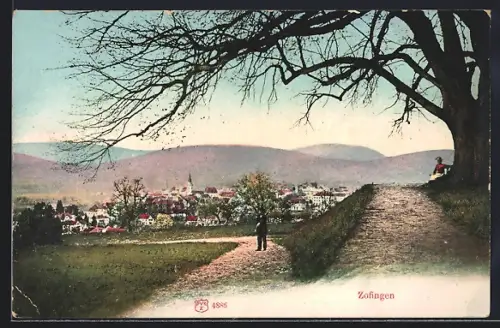 AK Zofingen, Gesamtansicht vom Ortsrand aus, mit Bergpanorama