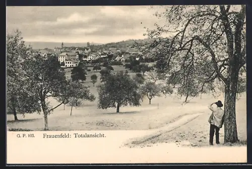 AK Frauenfeld, Totalansicht, Wanderer blickt zum Ort