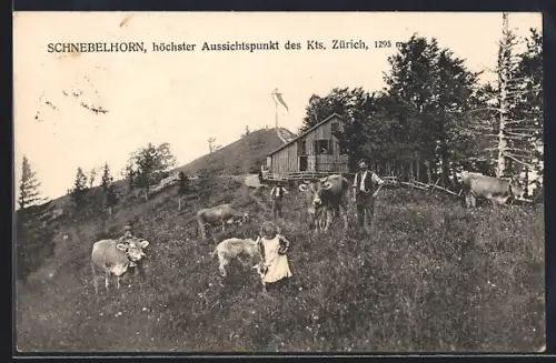 AK Schnebelhorn /Zürich, Ortspartie und Bauer mit Kühen